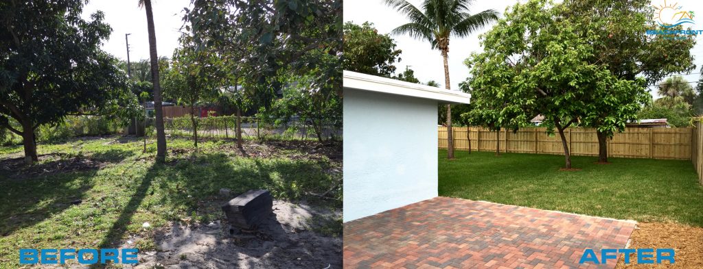 yard-before-n-after