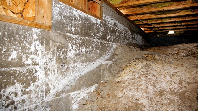 5 tips for fighting mold, humidity