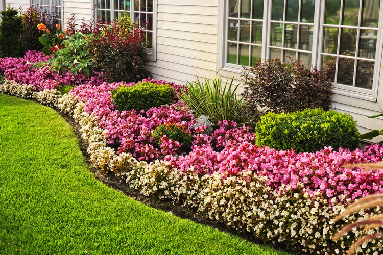 Backyard Renovation Ideas For Early Fall